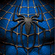 Spiderman's picture